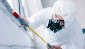 Best Termite Inspection and Treatment  in Blue Island, IL